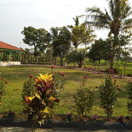 Putri Duyung Guest House Karangpandan Exterior photo